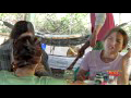 Dao Ga Ong Tay